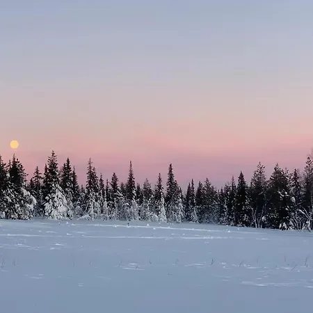 Hellitae - Big, Private And Great Location Yllasjarvi